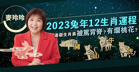 2023兔年財位|麥玲玲2023兔年運程｜看清兔年財位病位 桃花運原來 